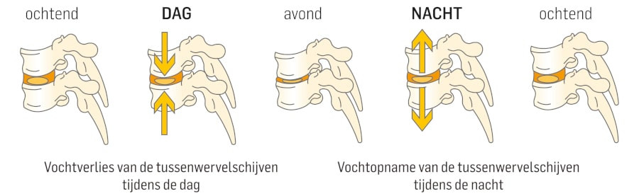 tussenwervelschijven dag en nacht